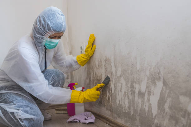 Best Mold Removal for HVAC Installations  in Newark, TX
