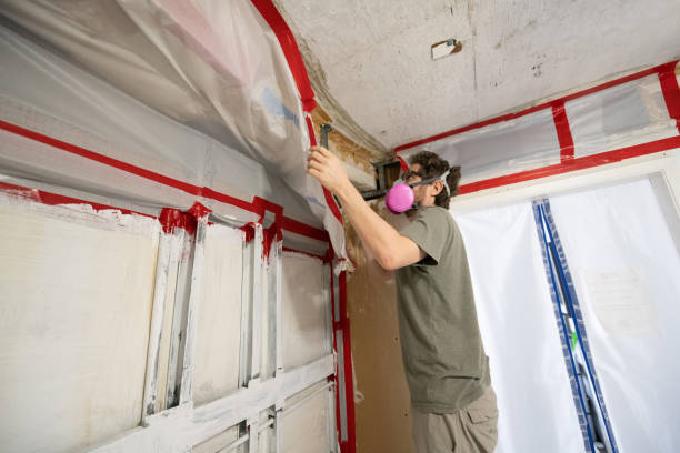 Best Attic Mold Removal  in Newark, TX