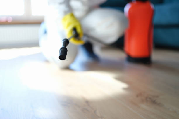 Best Airborne Mold Testing  in Newark, TX