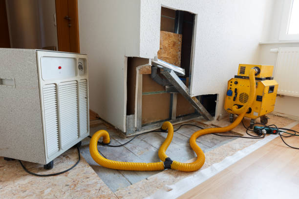 Best Post-Construction Mold Inspection  in Newark, TX