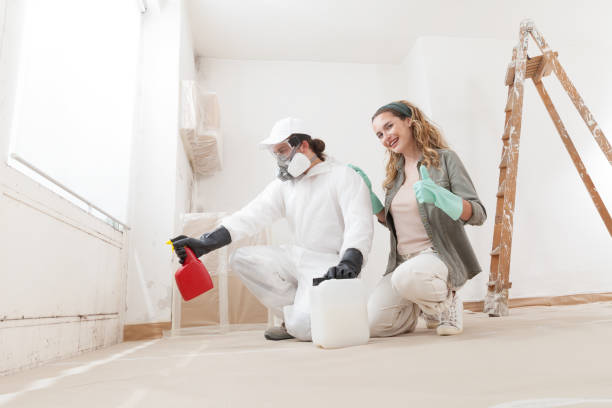 Best Mold Documentation for Insurance Claims  in Newark, TX