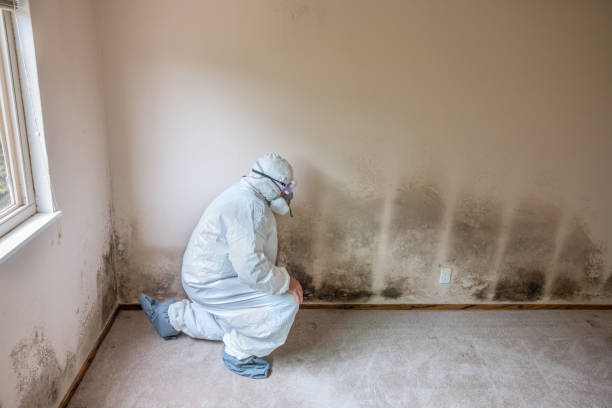 Best Crawl Space Mold Remediation  in Newark, TX