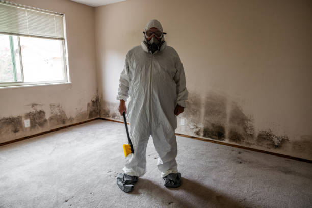 Best Mold Damage Restoration  in Newark, TX